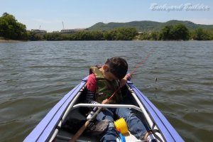 �Q���S�[��