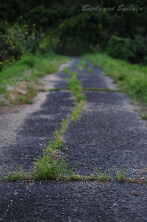 �������̒ʊw�H