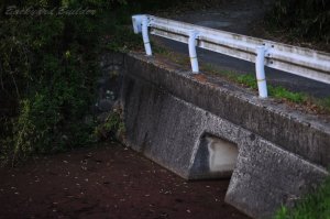 �K�[�h���C��