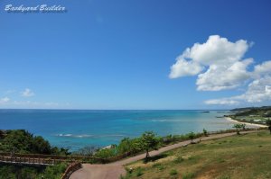 �����~�J�����Ȃ����ȁ` (^^)