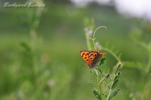 �x�j�V�W�~