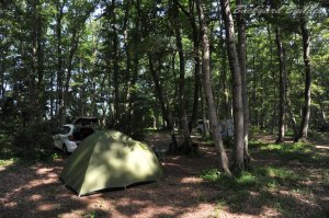 �I�g�[�T���̃e���g