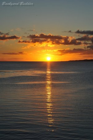 �I�����W�T���Z�b�g