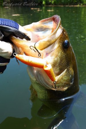 �N�l�N�l���\�b�h