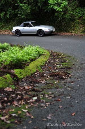 ...�Ȃ񂩔����ȍ\�}��(��)