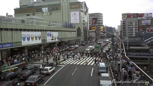 �V�h�w���(1999�N)