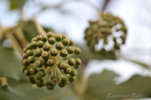 �t��ɎB�����ʐ^