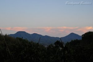 ������ƔL�R