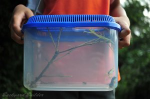 �R���{���[�V����