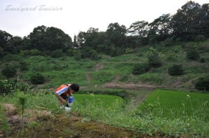 �������猋��17�N�ځA�I�g�[�T��8�N��