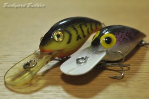 �E�B�O�����[�g�ƃf�B�[�v�E�B�[R