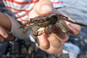 �J�j����