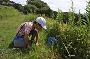 �o�b�^�ɖ���