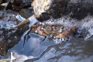 �`���L�`���L