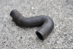 �T��̓������z�[�X