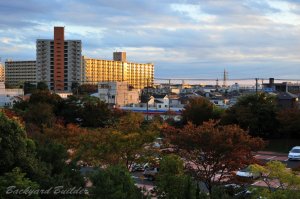 ��������̒���