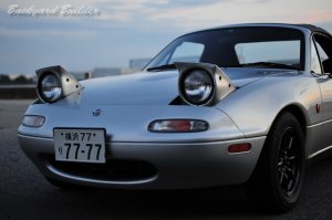 �V�[���h�r�[��