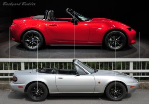 �t�����g�z�C�[���𑵂��Ă݂�