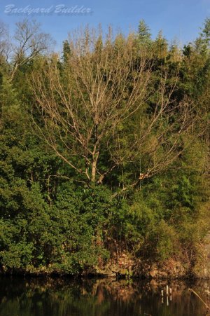 �~�����r