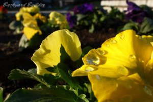 �O�F�X�~���H