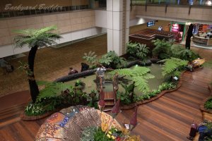 �`�����M���ۋ�`