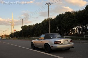 �I���W�i���y�͂܂��Y��