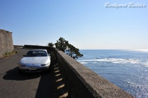 ���͐�����