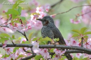 �͒Í��ƃq���h��