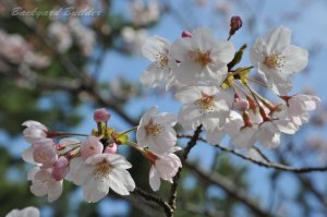 �\���C���V�m