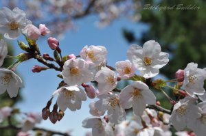 �\���C���V�m