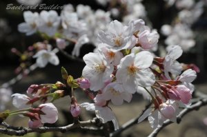 �\���C���V�m