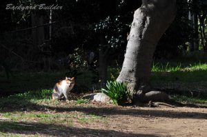 ���A��"�˂�����"