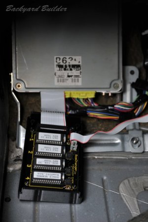 �����`���[��