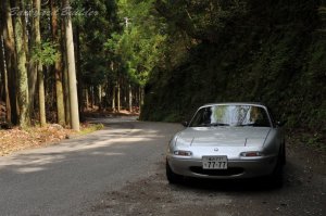 �T���c�[�����O