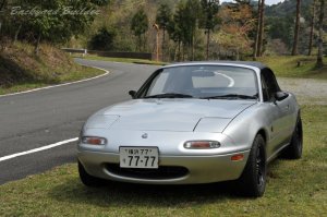 �Бq�_���ɂ�