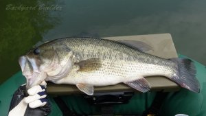 ���ȃx�X�g�^�C�@53cm