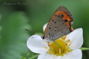 �x�j�V�W�~