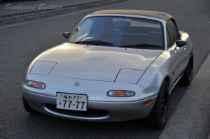 ���낻��100����H