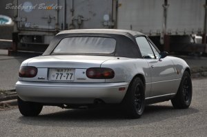 �����r���[