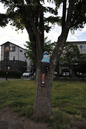 8�΂ɂȂ�܂���