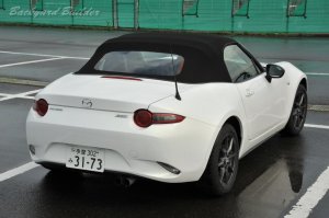 �N���X�^���z���C�g�p�[���}�C�J