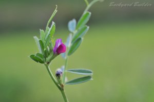 �J���X�m�G���h�E