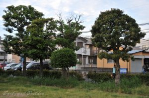 ���q��13��