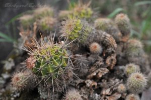 �T�{����