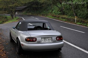 �V�i�y�C�������`�@(^^)