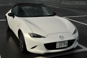 S�X�y�V����