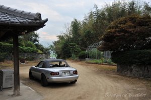 �c�������犵��e���񂾕��i�ɗn�����ރ��[�h�X�^�[