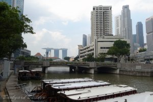 ���o�[�T�C�h