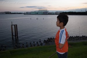 ���q�Ɏc�����̂͂ǂ�H