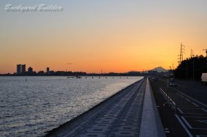 �s���`���璭�߂�x�m�R